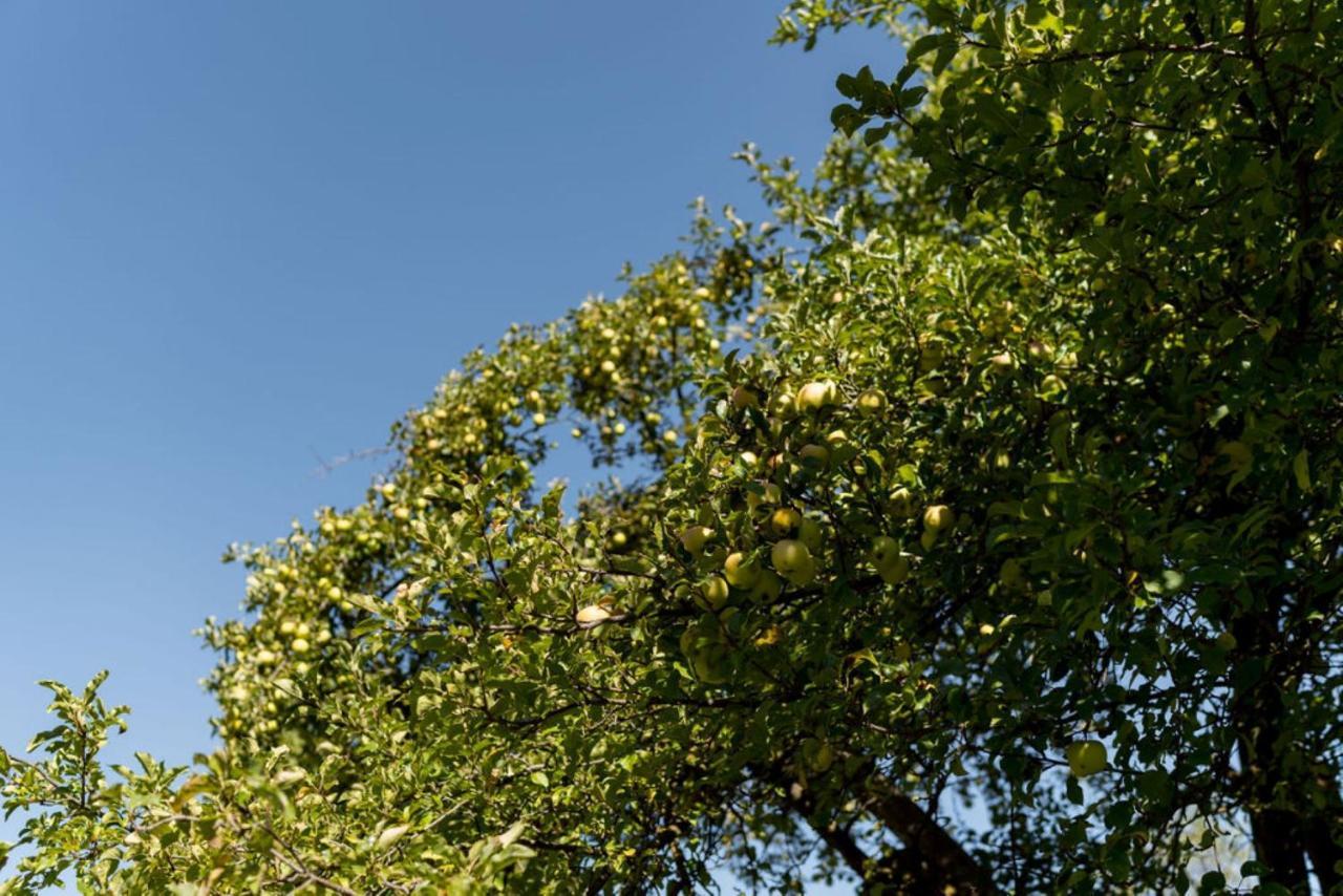סן לורנצו די סבטו Obergasserhof מראה חיצוני תמונה